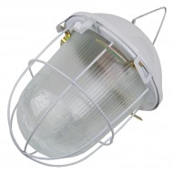 Светильник ЖКХ НСП &#8220;Желудь&#8221; General 02-100-002.01, 437822, прозрачный, белый, с решеткой