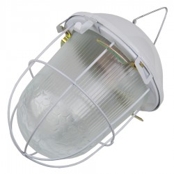 Светильник ЖКХ НСП &#8220;Желудь&#8221; General 02-100-002.01, 437822, прозрачный, белый, с решеткой